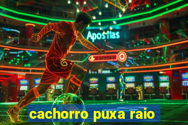 cachorro puxa raio